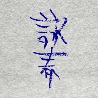 Wing-Chun in Chinese T-Shirt